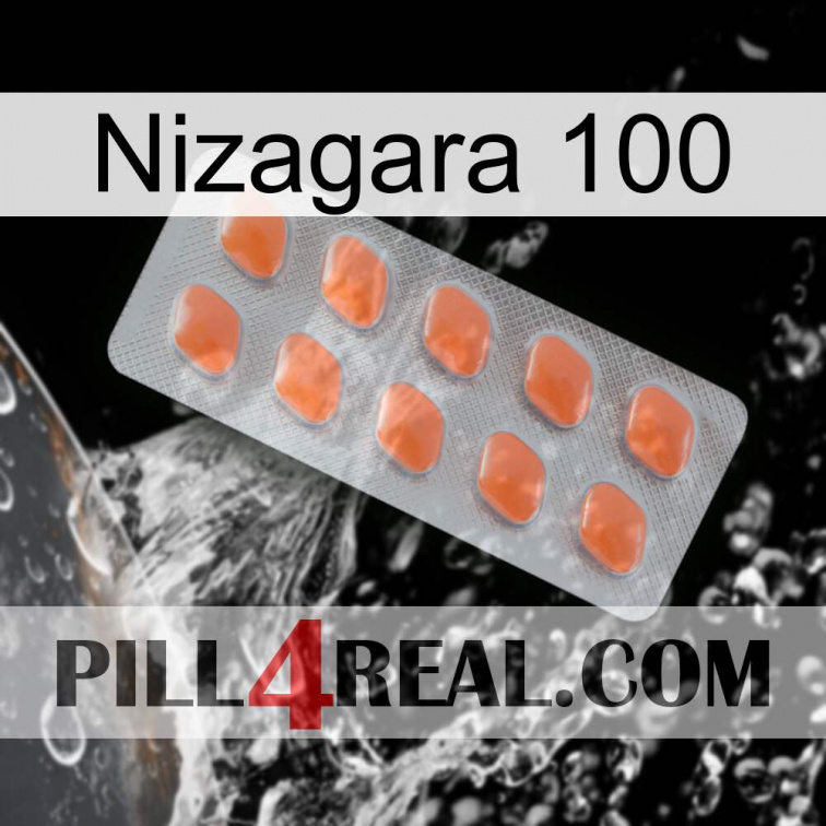 Nizagara 100 26